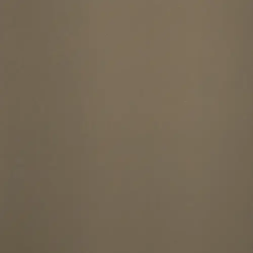 AL1019 190 Colore Serramenti Alluminio Effetto Raffinato